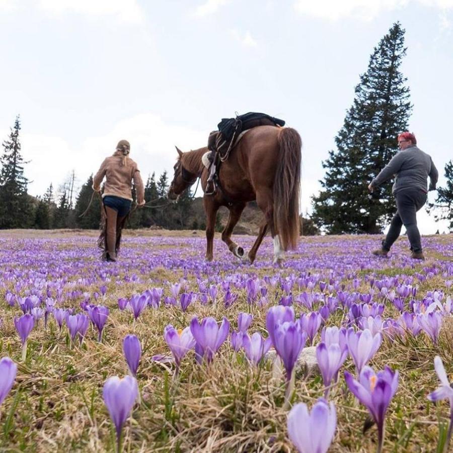 ホテル Ranch Marina Koce エクステリア 写真