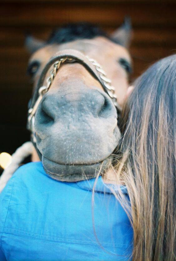 ホテル Ranch Marina Koce エクステリア 写真