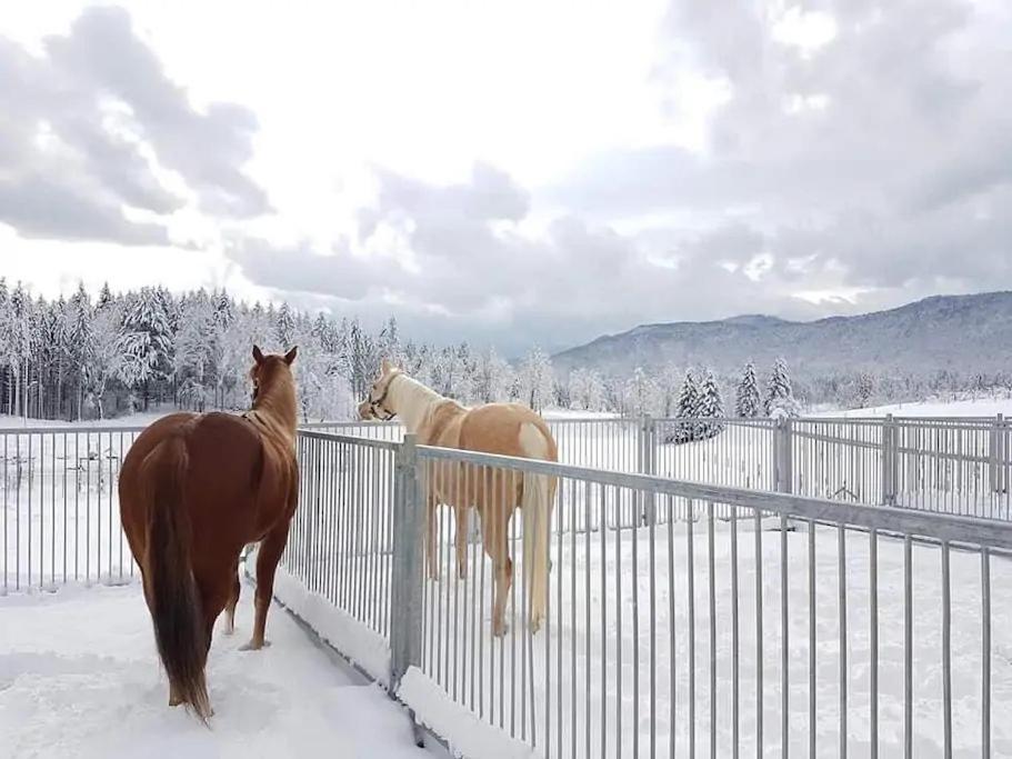 ホテル Ranch Marina Koce エクステリア 写真